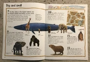 C9FD1010-F2CA-557A-0396-56BF521F0BC7.jpeg (2.26 MB)