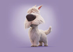 Hamish.jpg