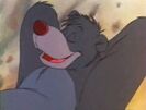 Jungle-cubs-volume01-baloo02