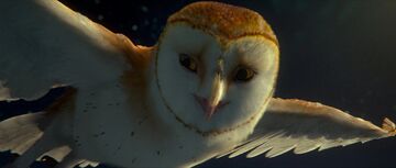 Soren the Owl.jpg