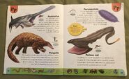 Weird Animals Dictionary (16)