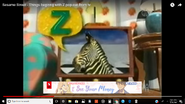 Z for Zebra, Zebu, Zucchini, Zepplin, and Zipper