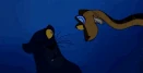 Bagheera the Black Leopard.gif (1.89 MB)