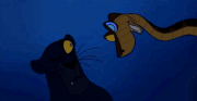 Bagheera the Black Leopard.gif