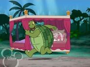 Brandy and Mr. Whiskers Tortoise