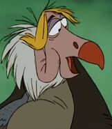 and Flaps as Meako