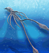 Giant Squid