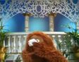 Rowlf breaks out crying after the poem Silence