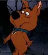 Scrappy Doo,