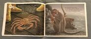 The Incredible Crab Alphabet Book (10)
