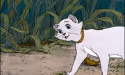 Aristocats-disneyscreencaps.com-4789