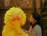 Big Bird falls asleep while telling Maria what's he's going to do in the morning