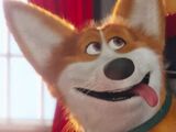Corgi (Minions)