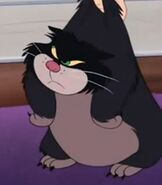 Lucifer in Cinderella.jpg (14 KB) Lucifer in Cinderella