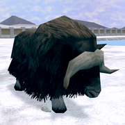 Muskox Game zooempire2