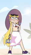 Star Butterfly in the summertime