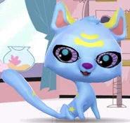 blue tiger as chompe