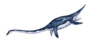 Dinozavr17,large.1549026388.jpg