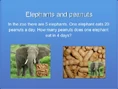 Elephants and Peanuts.jpg (100 KB)
