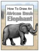 How to Draw an African Bush Elephant