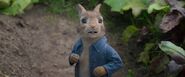 Peter Rabbit 2018 Screenshot 0144