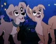 Angel (2001) (with Scamp (2001) as an extra) as Boo (Monster Disguise)