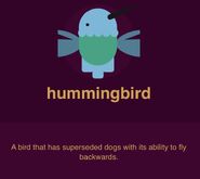 IMG la hummingbird