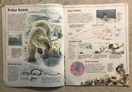 C66B81B0-DF86-49DF-ADD5-57312A9F3B9A.jpeg (2.04 MB)