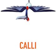 Calli