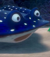 Mr. Ray in Finding Nemo