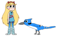 Star meets Blue Jay