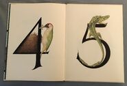 Animal Numbers (Bert Kitchen) (3)
