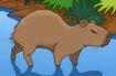 BTKB Capybara