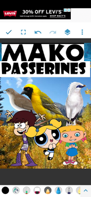 MKPSSRNES Poster