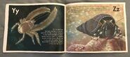 The Incredible Crab Alphabet Book (15)