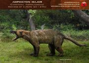 Amphicyon major by romanyevseyev-d4ufv56.jpg