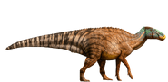 Edmontosaurus-detail-header