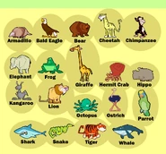 Stanley-charades-animals.png (171 KB)