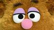 Fozzie's eyes and nose close-up as he stares at a picture in the museum