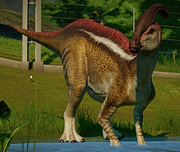 JWE Parasaurolophus