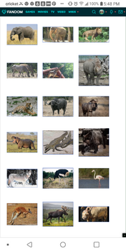 My Favorite Species.png