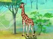 Rileys Adventures Reticulated Giraffe