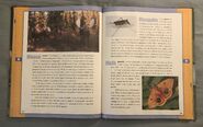 Scholastic Encyclopedia Of Animals (32)
