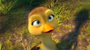 Duck-duck-goose-phim-hoat-hinh-vui-nhon-danh-cho-cac-gia-dinh-vao-dip-tet-2018-2051622.png