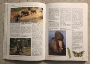 EE7F45EE-B8AB-4C35-B86F-0CEE379646D7.jpeg (2.36 MB)