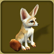 Fennec Fox