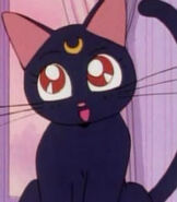 Luna as Min