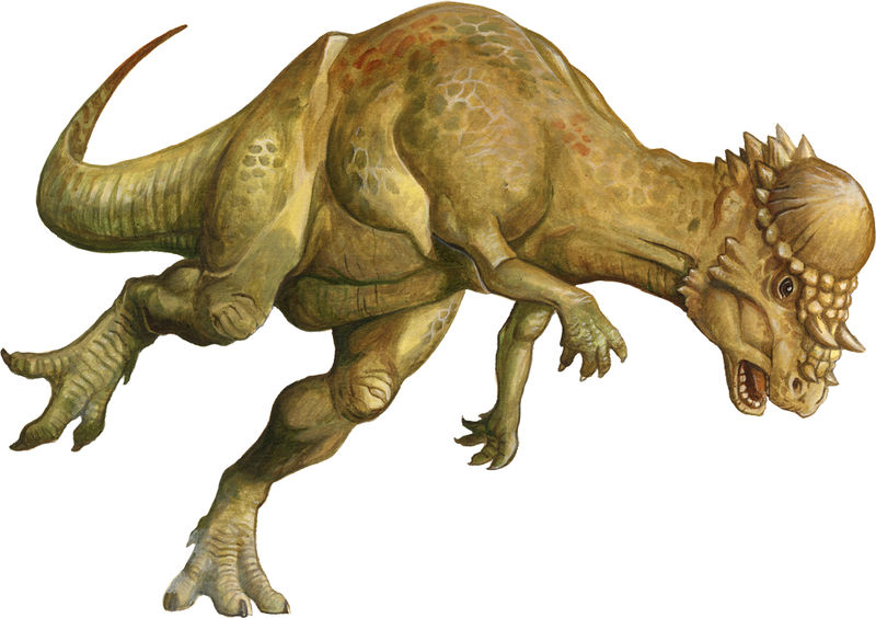 Pachycephalosaurus The Parody Wiki Fandom Pachycephalosaurus The Parody Wiki Fandom