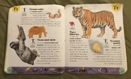 Extreme Animals Dictionary (23).jpeg (1.85 MB)