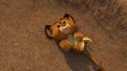 Madagascar2-disneyscreencaps.com-224